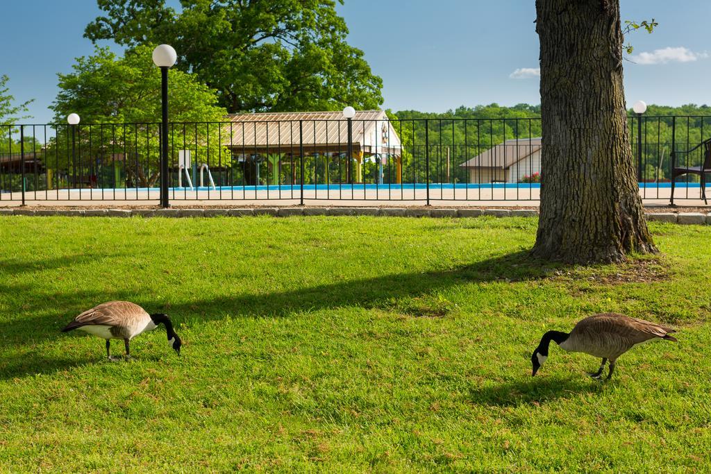 Hotel Branson Yacht Club Indian Point Zewnętrze zdjęcie